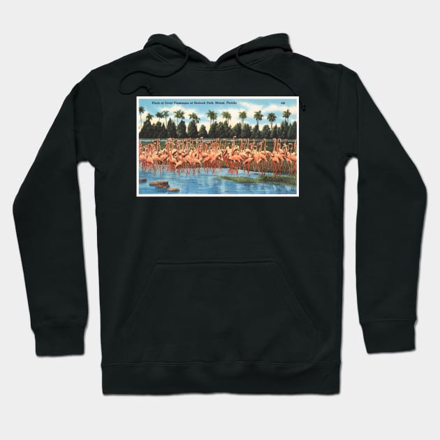 Hialeah Park, Miami, Florida postcard Hoodie by WAITE-SMITH VINTAGE ART